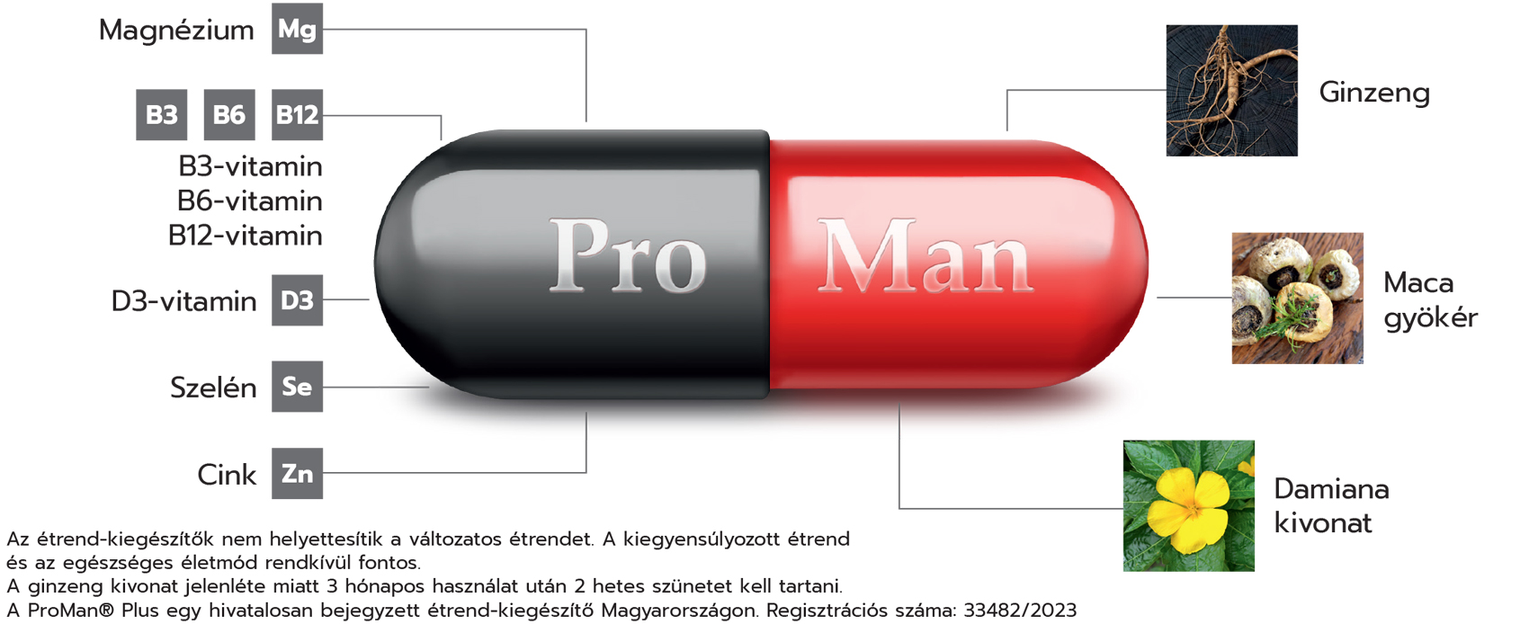 Natural Pharmaceuticals ProMan® Plus Egy grafika, amely egy fekete-piros kapszulát ábrázol, rajta a „ProMan” felirattal, körülötte az összetevőkre vonatkozó információkkal. A bal oldalon a következők szerepelnek: magnézium (Mg), B3-, B6-, B12-vitamin, D3-vitamin, szelén (Se) és cink (Zn). A jobb oldalon a növényi összetevők képei láthatók: ginzeng gyökér (Ginzeng), maca gyökér (Maca gyökér) és damiana kivonat (Damiana kivonat).